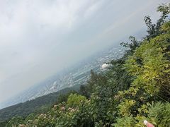 -杭州半山国家森林公园