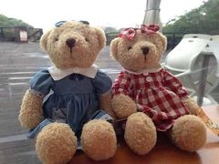 -济州岛泰迪熊博物馆