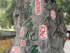 -长寿村