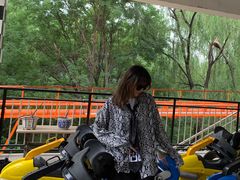 -朝阳公园游乐园