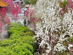 -玫瑰庄园·自助烧烤·烤全羊·团建拓展(龙泉山店)