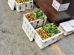 -沈阳市八家子水果批发市场