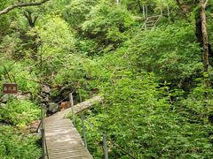 -灵山