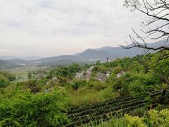 -塔川景区