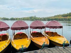 -西湖外事游船(花港观鱼码头)