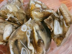 土笋冻-铭聚章鱼土笋冻(松柏店)