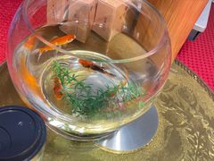 -映象潇湘·小瑶村·民族特色餐厅(植物园店)