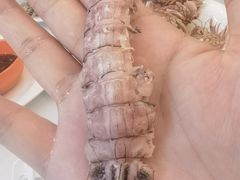 -舟山小海鲜大排档(稻香新村店)