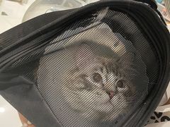 -北京恒爱动物医院(清景园分院)