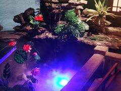 -佬麻雀·新湘菜(珠海金发购物中心店)