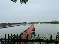 -东湖落雁景区
