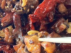 -柴窝堡22号辣子鸡·传承新疆菜