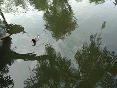 -中山詹园