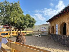 -HERRE·FARM 赫尔露营农场·团建聚会包场