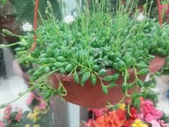 android_upload_pic-无锡文化工艺品市场(槐古路店)