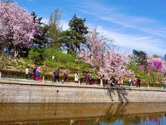 -海棠花溪(元大都城垣遗址公园)