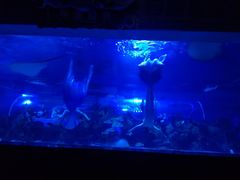 -成都浩海立方海洋公园