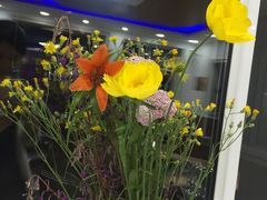 -粘豆包柴火铁锅炖