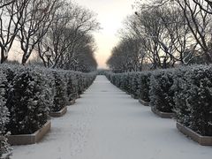 -中国人民抗日战争纪念雕塑园