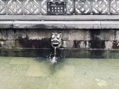 -宋宴(虎跑店)