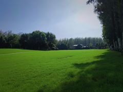 -合肥滨湖国家森林公园