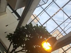 -大树餐厅(红旗街万达店)