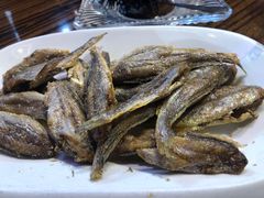 -蚝堡海鲜·威海菜·海肠捞饭·烧烤·亚洲吃蚝公司(幸福门店)