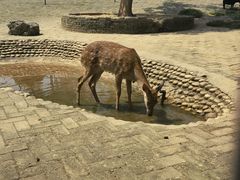 -武汉紫薇都市田园