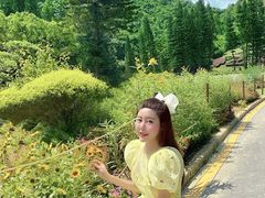 -深圳仙湖植物园-停车场