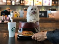 -星巴克(万都店)