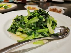 -上海红塔豪华精选酒店
