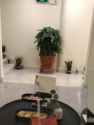 -海涛医疗美容·面部抗衰·注射美鼻