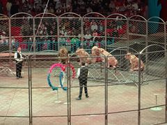 -俄罗斯国家大马戏团