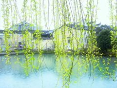 -活鱼馆(宜兴埠店)