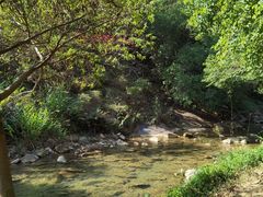 -广州白江湖森林公园