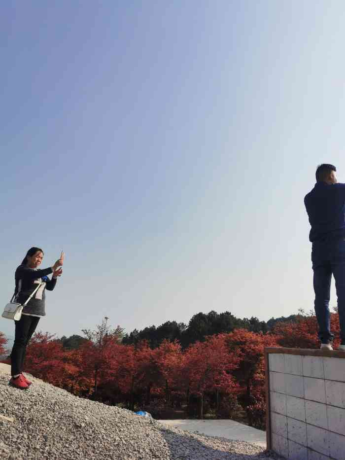 这是一个才开发的景区,位置在重庆市巴南区安澜镇.