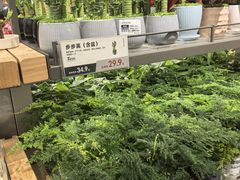 -鹿岛生活(熙地港店)