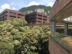 -香港大学