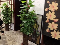 -盤古Spa泰式古法抓龙筋(鲁迅路店)