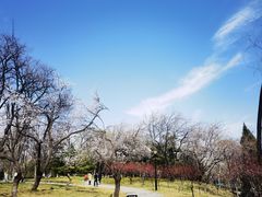 -玲珑塔公园