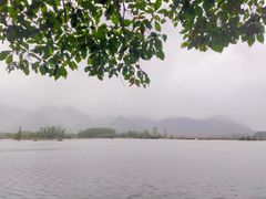 -大九湖
