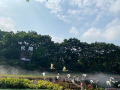 -广州长隆飞鸟乐园