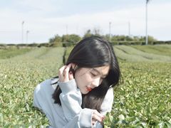 -雪绿茶博物馆