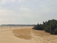 -松月湖大酒店