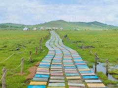 -塞罕坝国家级自然保护区