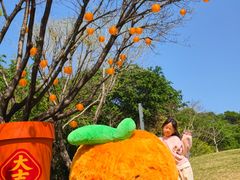 -云溪植物园