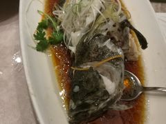-骏莱海鲜鱼港(五角场店)