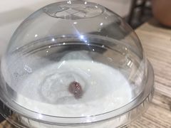 -宝珠奶酪(长宁金虹桥店)