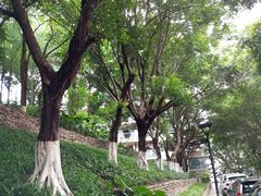 -龙头寺公园