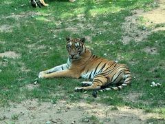 -北京野生动物园